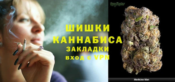 дмт Заводоуковск