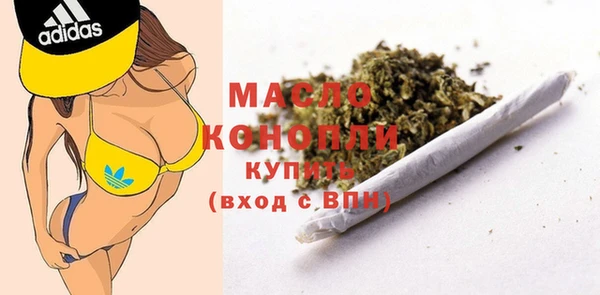дмт Заводоуковск