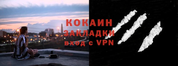 дмт Заводоуковск