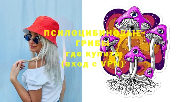 дмт Заводоуковск