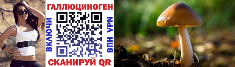Галлюциногенные грибы Psilocybe Купить где Кимовск